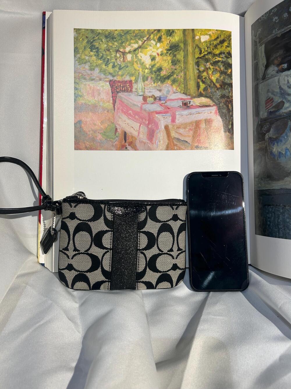 Signature stripe small wristlet (coach f49174) silver/black/white/black - Picture 5 of 8